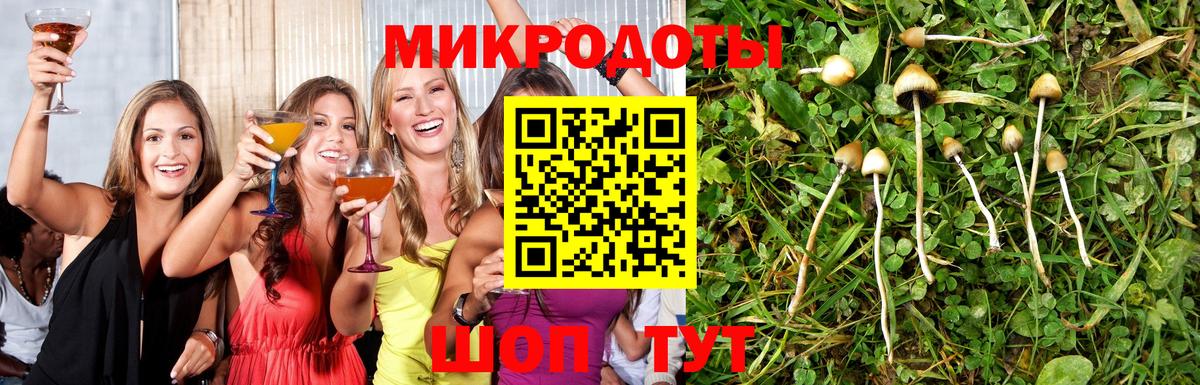 Павловский Посад  Псилоцибиновые грибы GOLDEN TEACHER  купить  сайты  Вход с VPN 